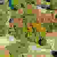 broken image