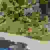 broken image