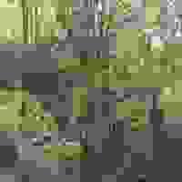 broken image