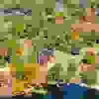 broken image