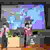 broken image