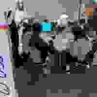 broken image
