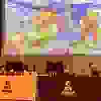 broken image