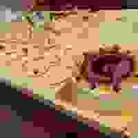 broken image