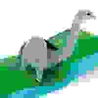 broken image