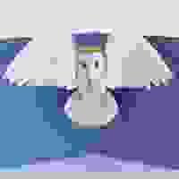 broken image
