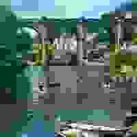 broken image