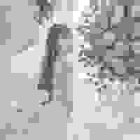 broken image
