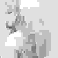 broken image