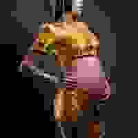 broken image