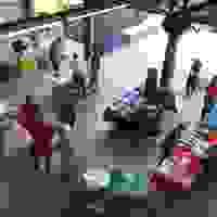 Section image