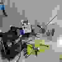 broken image