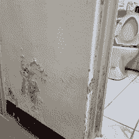 broken image
