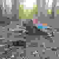 broken image