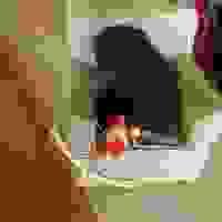 broken image
