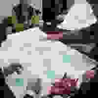 broken image