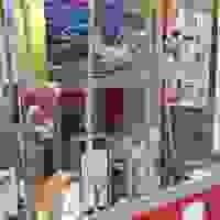 broken image