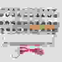 flame generator
