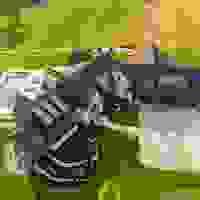broken image