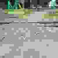 broken image