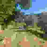 Section image