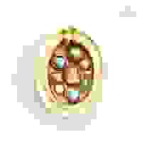broken image