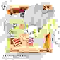 broken image