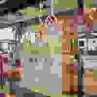 broken image