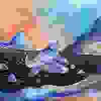 拾起