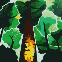 Crown Shyness. (SOLD)