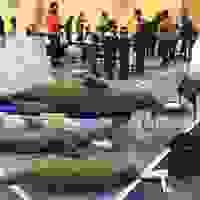 broken image
