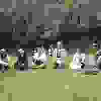 broken image