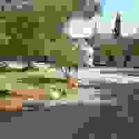 broken image