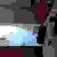 broken image