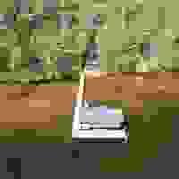 Section image
