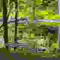 broken image