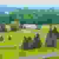 broken image