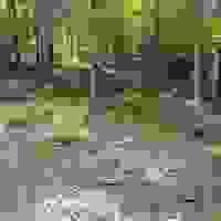 broken image