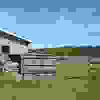 broken image