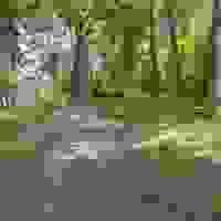 broken image