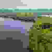 broken image