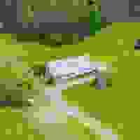 broken image