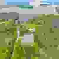 broken image
