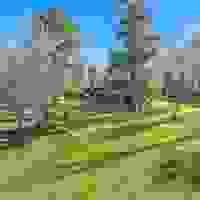 broken image