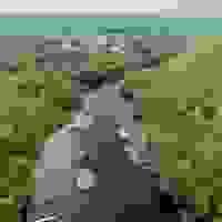broken image