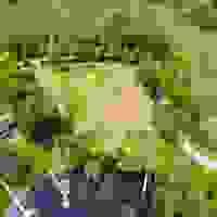 broken image