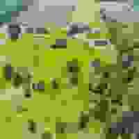 broken image