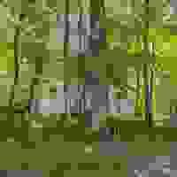 broken image