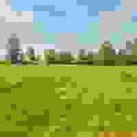 broken image