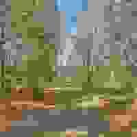 broken image